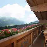 In Hollersbach Near Lift Hollersbach im Pinzgau