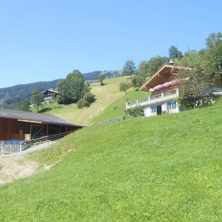 In Hollersbach Near Lift Hollersbach im Pinzgau