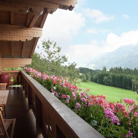 In Hollersbach Near Lift