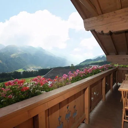 In Hollersbach Near Lift Hollersbach im Pinzgau