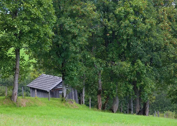 In Hollersbach Near Lift * Hollersbach im Pinzgau