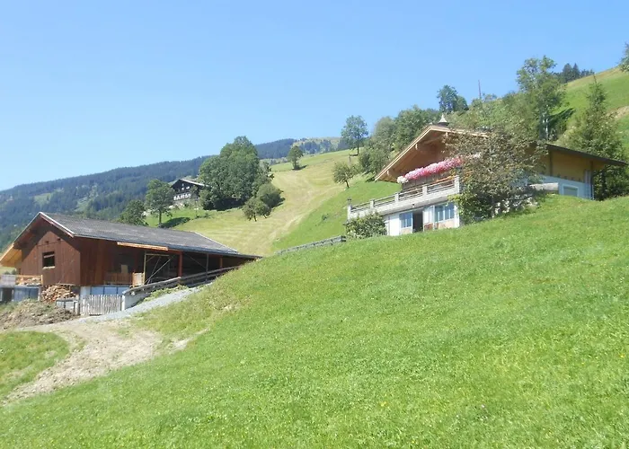 In Hollersbach Near Lift Hollersbach im Pinzgau